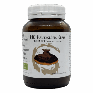 Hamvaskéreg Chaga gomba por (Inonotus obliquus) 100 gramm