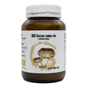 shiitake-png